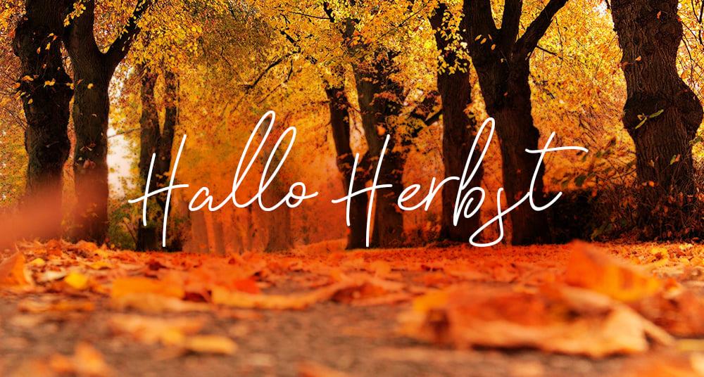 Hallo Herbst